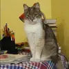Отзыв от Ираида Богомолова